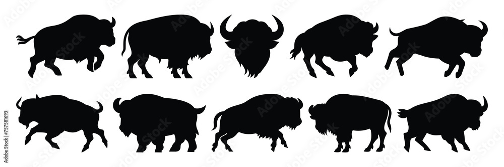 Bison buffalo silhouettes set, large pack of vector silhouette design ...