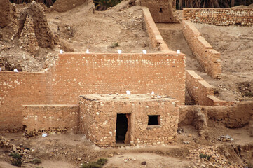 Canvas Print - Abandoned village after flood in 1969 in Tamerza oasis town, Tunisia