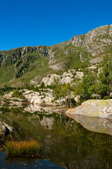 Wall Mural - Jungfrau-Aletsch protected area, Bernese Alps, Switzerland