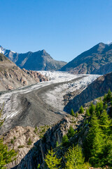 Wall Mural - Jungfrau-Aletsch protected area, Bernese Alps, Switzerland