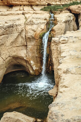 Wall Mural - Waterfall in Tamerza also called Tamaghza Oasis in Tunisia