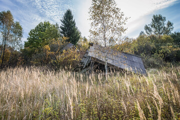 Canvas Print - Abandoned Stechanka village in Chernobyl Exclusion Zone, Ukraine