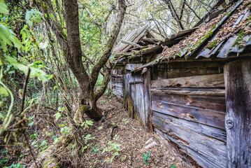 Sticker - Collapsed barn in abandoned Stechanka village in Chernobyl Exclusion Zone