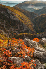 Sticker - Scenic morning shot of colorful river canyon with lots of trees and cliffs, with road and railway going through, during autumn, river Djetinja, Uzice, Serbia