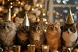 Cats with Sparkling Eyes Celebrating Christmas
