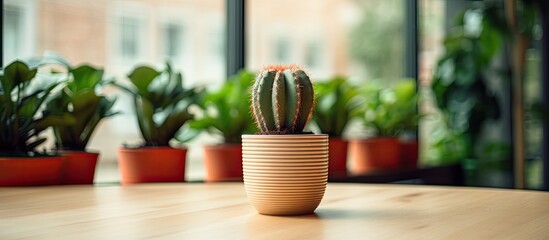 Canvas Print - A houseplant in a flowerpot is positioned on a wooden table by the window, showcasing a small cactus in a terrestrial plant setting