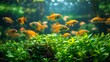 Underwater view of aquaculture farm, vibrant fish amidst aquatic plants, sustainable methods in practice, clear water symbolizing purity