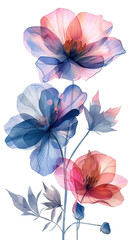 Wall Mural - Watercolor Painting of Flowers, isolated on White Background. AI generated Illustration.