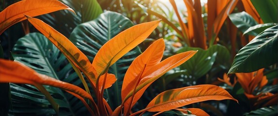 Wall Mural - Orange bright colored tropical leaves foliage plants, banner template background illustration from Generative AI