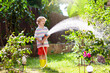 © famveldman - Boy watering flower in garden. Kid with water hose