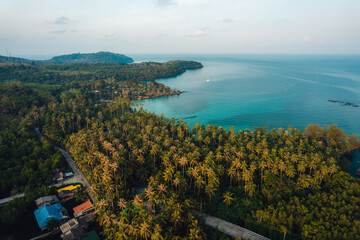 Poster - Aerial view island and coconut groves on the island in the morning