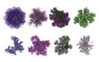 © GRASSS.H - Set of tree with purple flowers top view for landscape plan and architecture layout