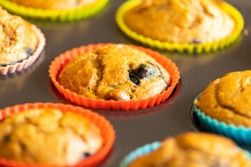 Poster -  A close-up shot of homemade vegan banana blueberry muffins arranged in a baking tray