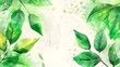 © Saima - Grenn leaves Alcohol Ink Clipart background copy space mockup