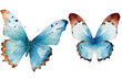 white watercolor butterflies Two isolated background