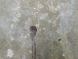 Abstract background of grunge and rough cement or concrete wall or floor texture.