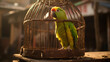 Parrot in cage at village India. ..