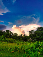  Feeling so grateful to be surrounded by all this greenery and fresh air in the great outdoors.