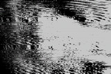 Fototapeta Kwiaty - Abstract distorted black white motion glitch overlay effect distress texture. Monochrome interlaced digital background. Futuristic striped glitched grunge, retro 90s, lo-fi brutal cyberpunk design