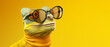 Portrait of smilling chameleon with sunglasses on yell