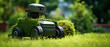 Robot lawn mower on green grass in village garden.