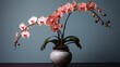 Phalaenopsis orchid flower in a flower pot. Caring for a houseplant. A home garden. Interior design of the room. An exotic flower.