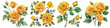 Collection of PNG. Watercolor yellow roses and leaves isolated on a transparent background.