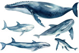 Fototapeta Dziecięca - Blue os illustration watercolor whale Set white background whales isolated
