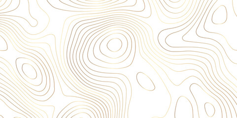 Wall Mural - Topographic map background geographic line map pattern .panorama view golden color wave curve lines .geographic mountain relief abstract grid .the concept map of a conditional geography map .