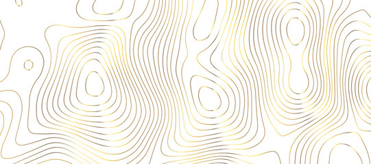 Topographic map background geographic line map pattern .panorama view golden color wave curve lines .geographic mountain relief abstract grid .the concept map of a conditional geography map .