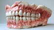 An image of a medical denture displaying a smile, jaws and teeth against a white background