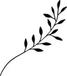 Branch With Small Ovate-shaped Leaves Illustration