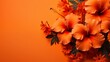 Orange hibiscus flowers on a tropical orange background