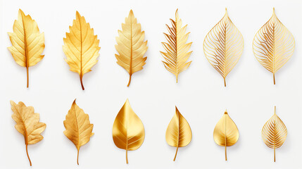 Wall Mural - gold leaves on white background.