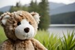 teddy bear outdoors