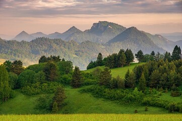 Wall Mural - Green field and view of Trzy Korony, Pieniny Mountains Peak in Poland at Spring. Fresh green spring landscape, beautiful Poland