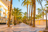 Fototapeta Miasto - Main street by the sea in Alicante, promenade, street with palm trees by the sea - Esplanada