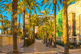 Fototapeta Miasto - Main street by the sea in Alicante, promenade, street with palm trees by the sea - Esplanada