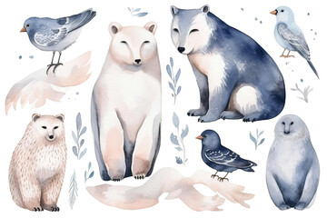 oeca collection polar polar set fox owl bear walrus owl snowy penguin arctic seal whale animals hare watercolor