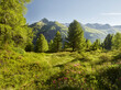 Blick vom Hirschbichl ins Defereggental, Hutner (2885m), Hohe Tauern, Osttirol, Tirol, Österreich