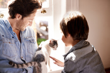 Poster - Pet, cat or father with child in home, house or apartment together for support, care or love by window. England, brush or dad bonding with kid, boy or kitten on a family vacation, holiday or relax