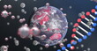 3D DNA and COVID-19 icons on a globe depict pandemic science concept.