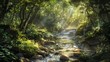 Tranquility visualized by a gently flowing stream in a lush forest with dappled sunlight