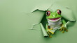 Captivating image of a mischievous green frog peeking with wide eyes from a ripped sheet of green paper