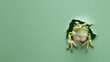 A green frog with comical expression seems to be coming out of a rip in the green backdrop, creating a humorous blend of life and art
