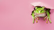 A vibrant green frog peeking through a hole on a pink paper background symbolizing curiosity and fun