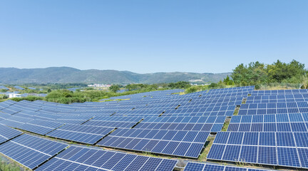 Wall Mural - hillside solar photovoltaic panels panorama