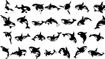 Wall Mural - orca clipart vector illustration, killer whale orca silhouette in various poses, black orca vector i