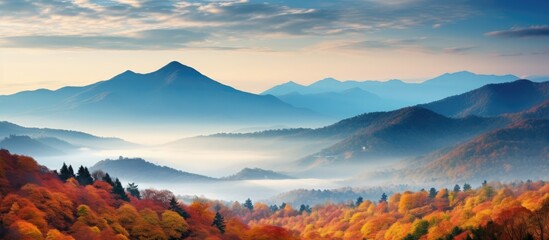 Sticker - Majestic Mountains Blanketed in Thick Fog: Serene Nature Landscape