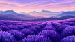 The lavender herb, nature scenery. The blossomed lavanda, lavandula in summer evening, long banner background. The lavender herb, nature scenery. Flat modern illustration.